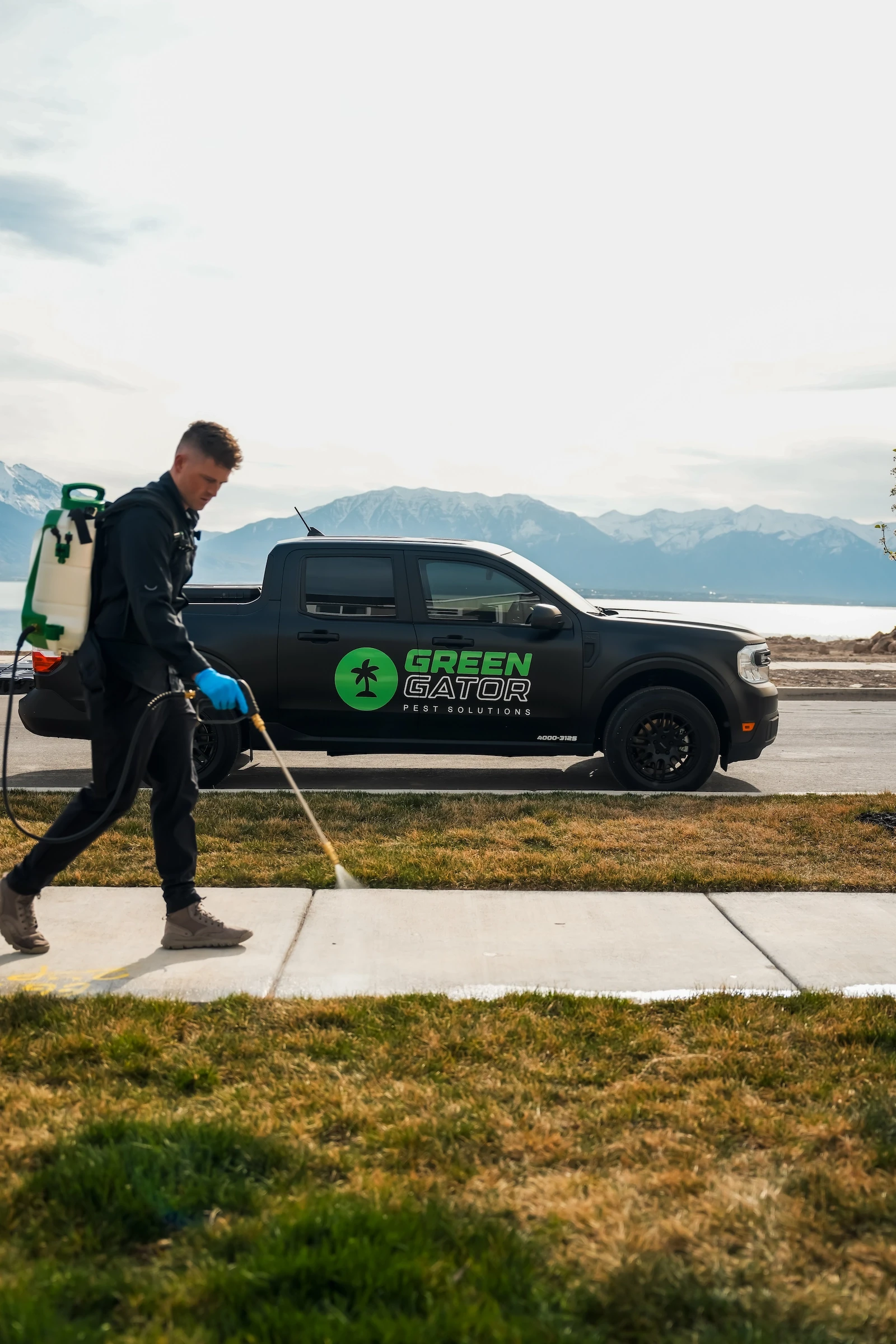 Green Gator flea treatment