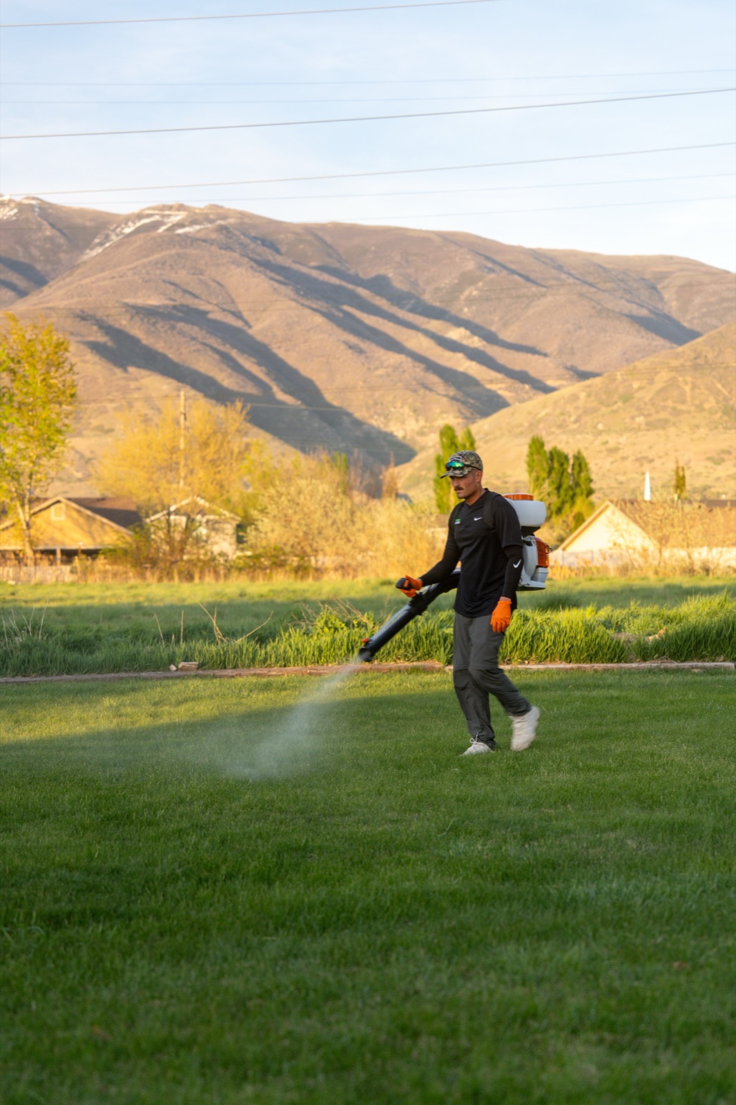 Pest control in Roy, Utah