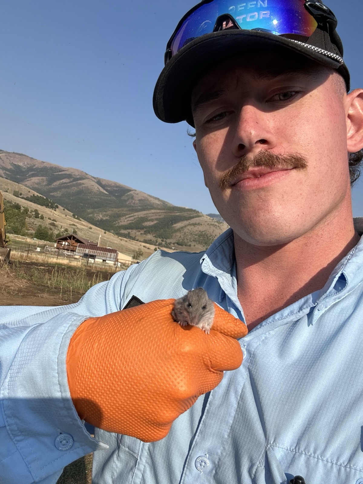 Green Gator rodent control technician