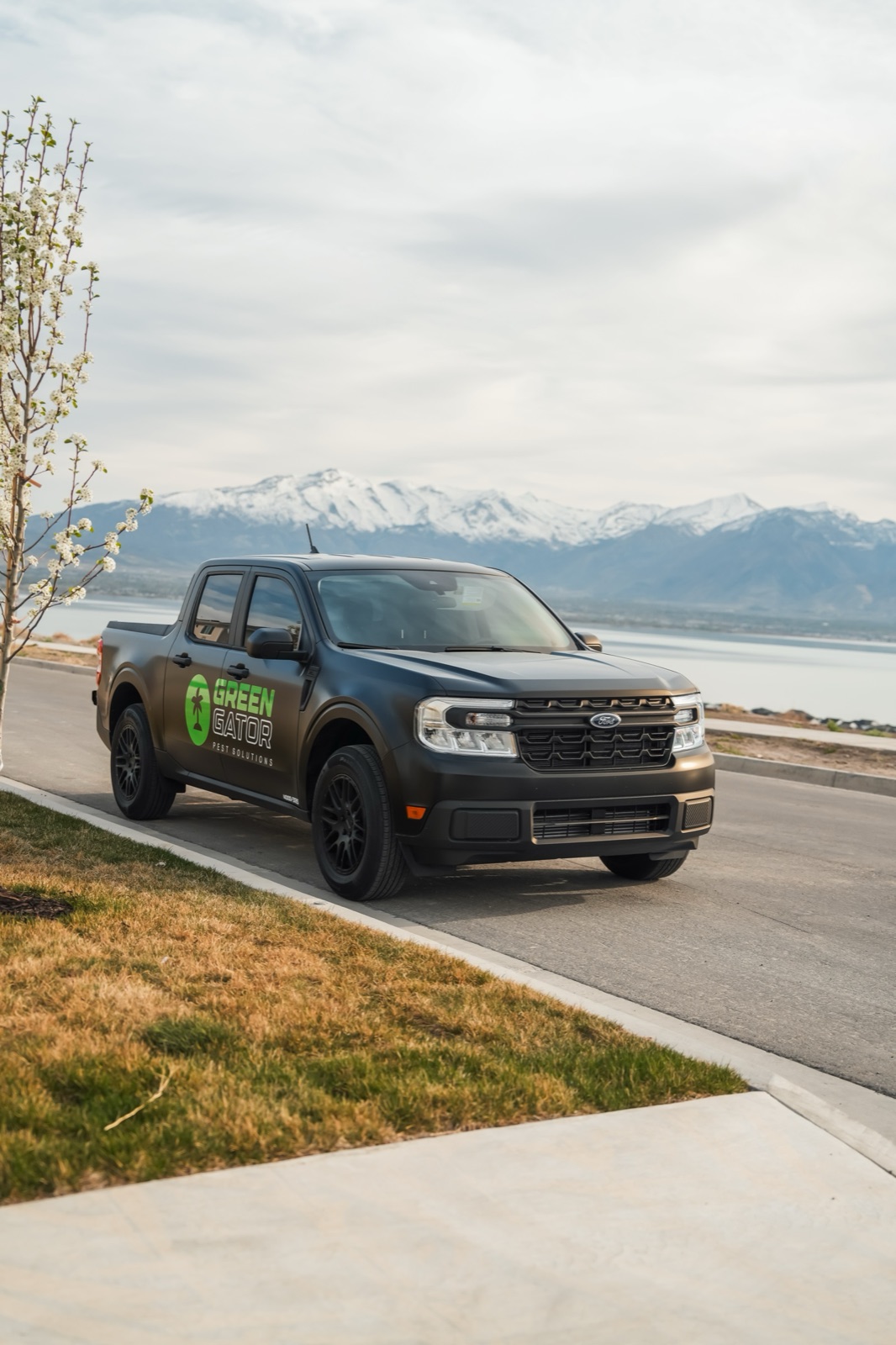 Local Utah pest control